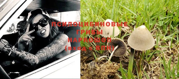 a pvp Арсеньев