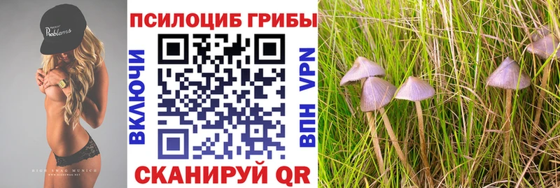 KRAKEN маркетплейс  Первомайск  Галлюциногенные грибы Magic Shrooms 